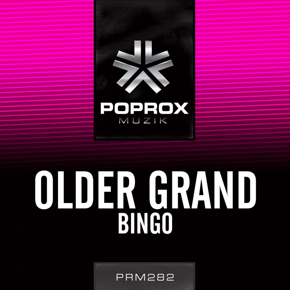 Picture of Bingo