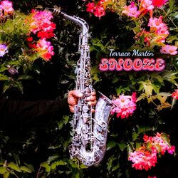 Cover of Snooze
