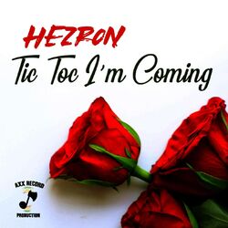 Cover of Tic Toc I'm Coming