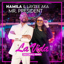 LA VIDA (DiscoBall Remix)