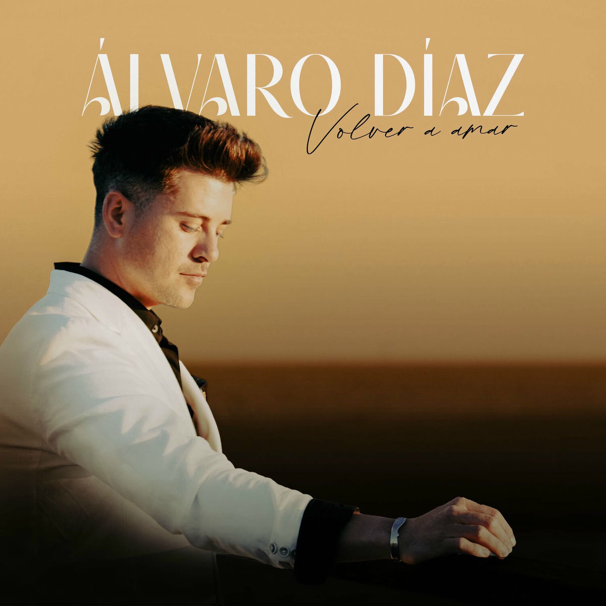Album cover of Volver a amar