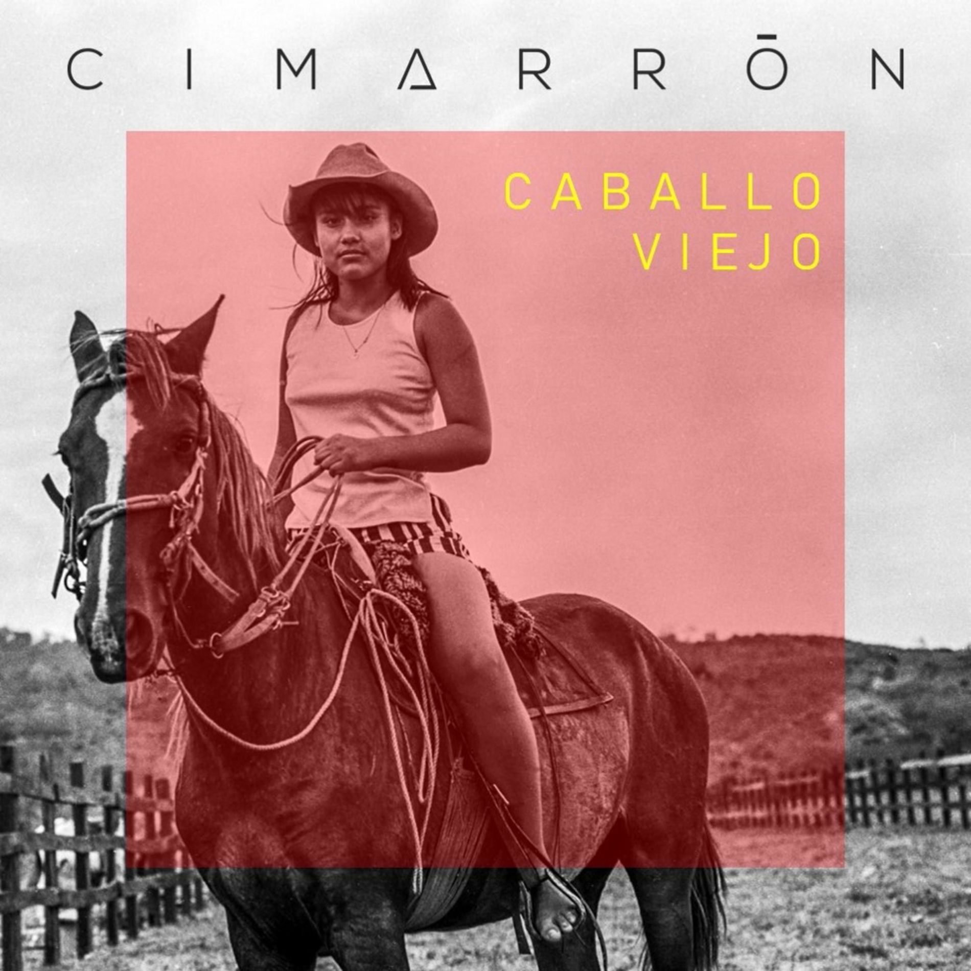 Album cover of Caballo Viejo