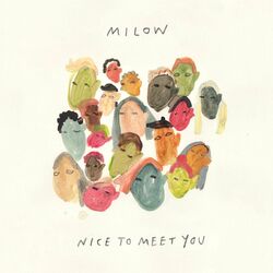 Cover of Nice To Meet You