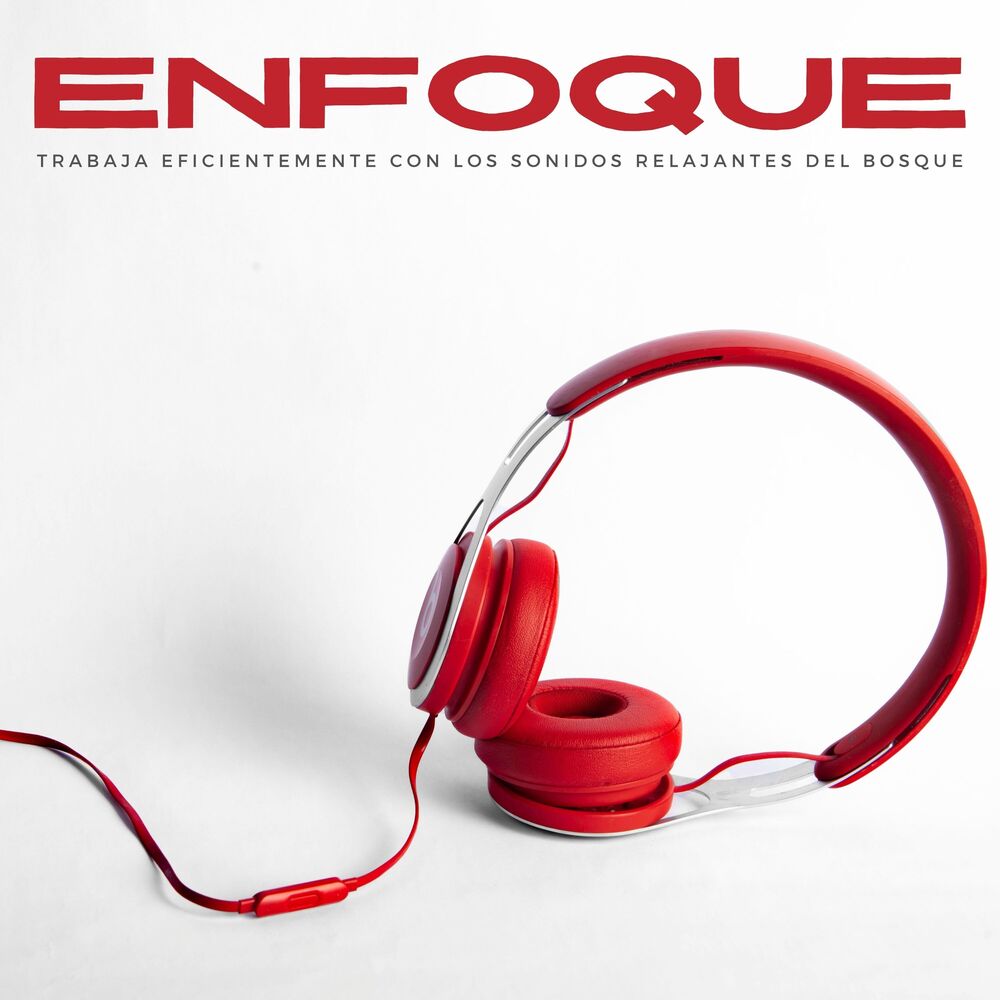 Picture of Enfoque: Trabaja Eficientemente Con Los Sonidos Relajantes Del Bosque