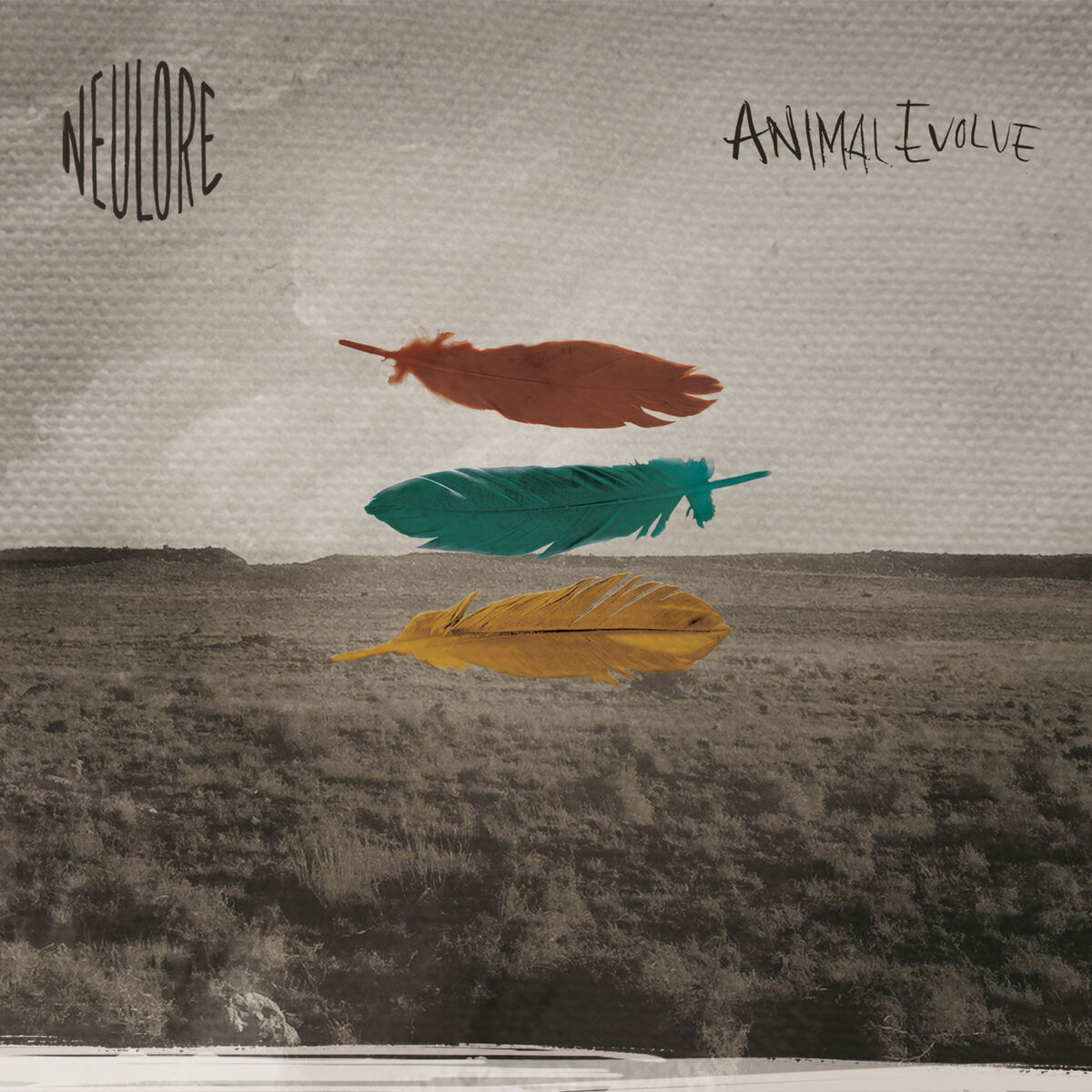 Album cover of Animal Evolve