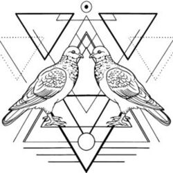 Cover of Flying Machines