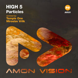 Cover of Particles
