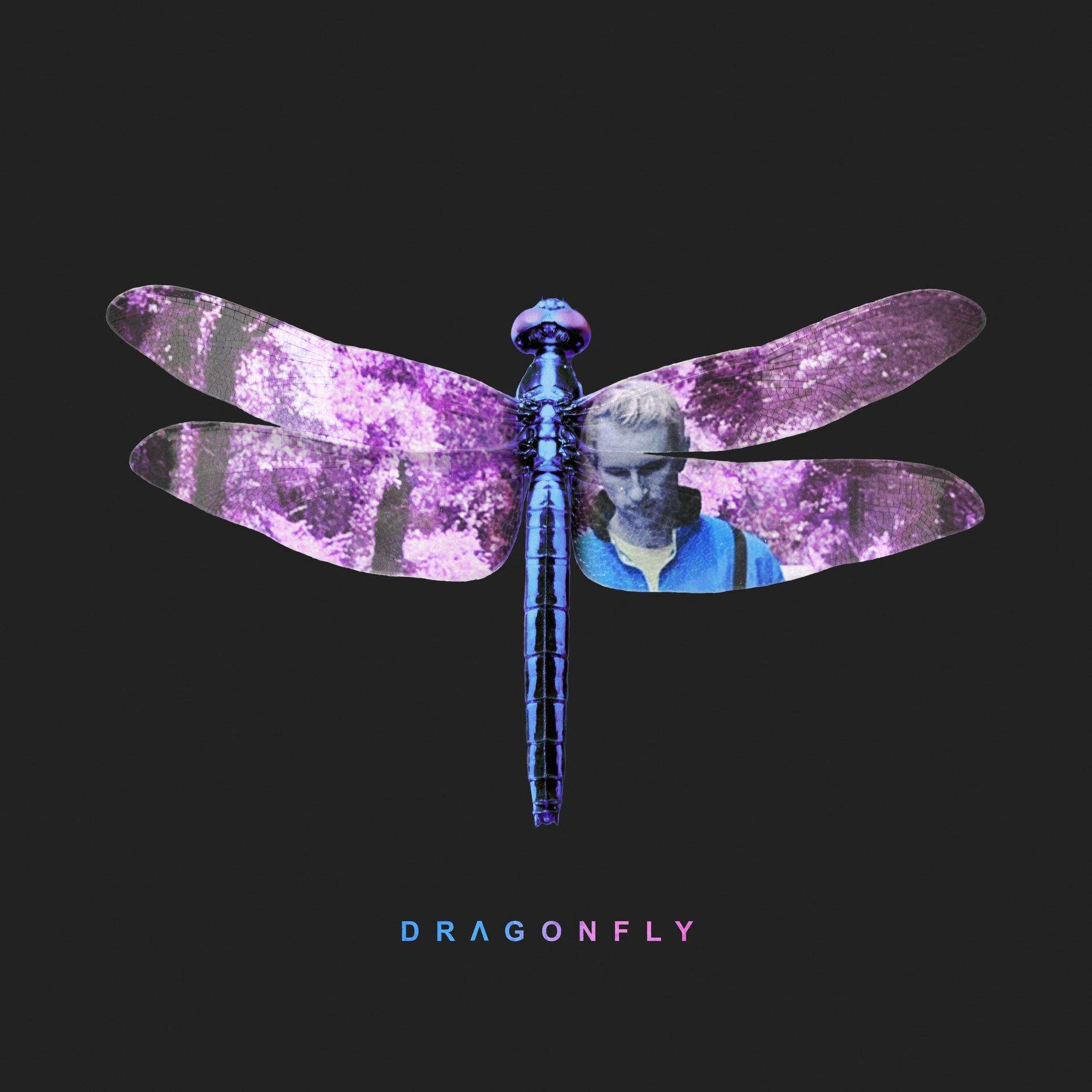 Album cover of Dragonfly