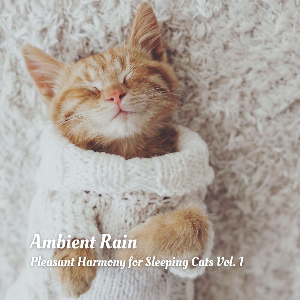 Picture of Ambient Rain: Pleasant Harmony for Sleeping Cats Vol. 1