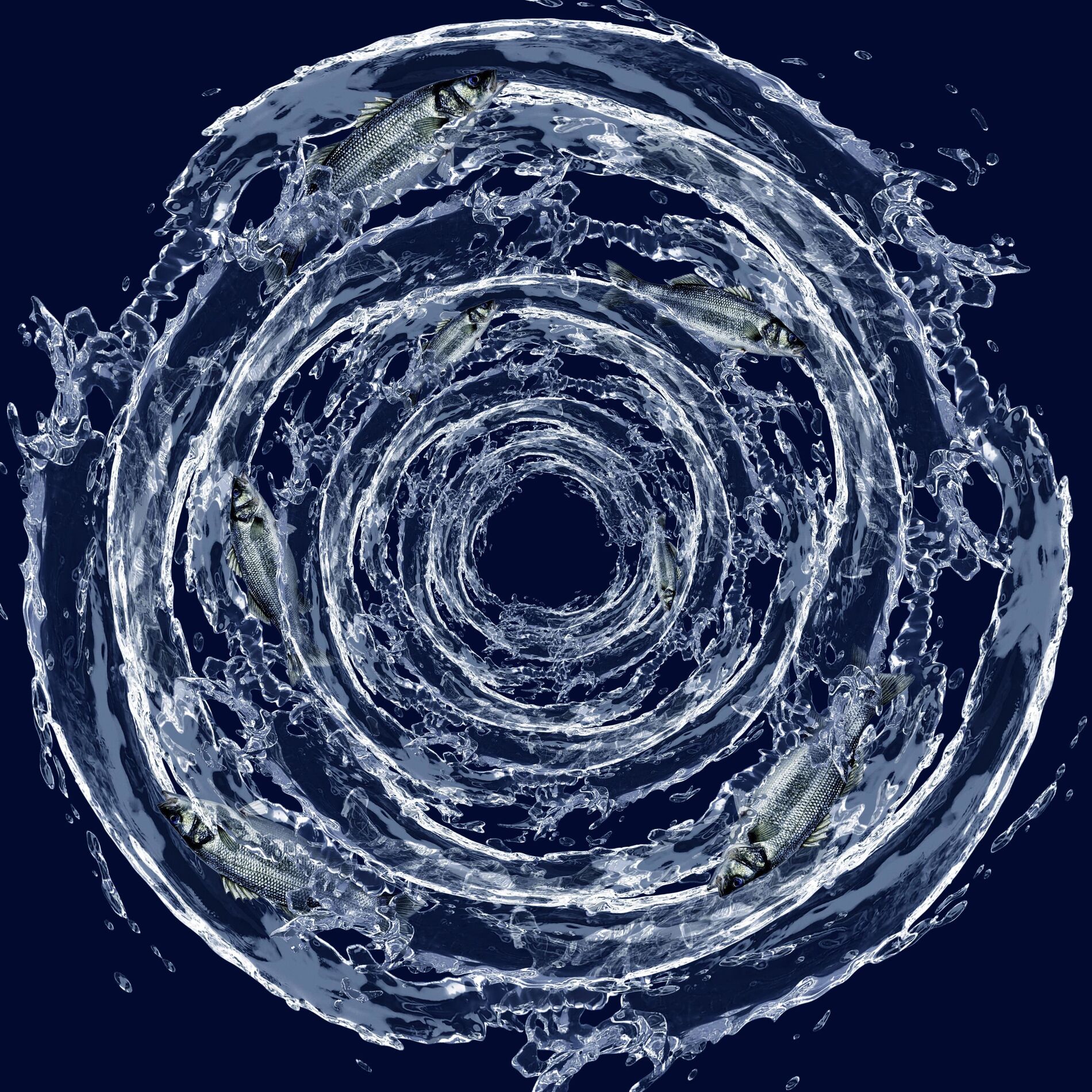 Album cover of Blumen IV Oktopus Pierre