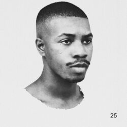 Cover of 25
