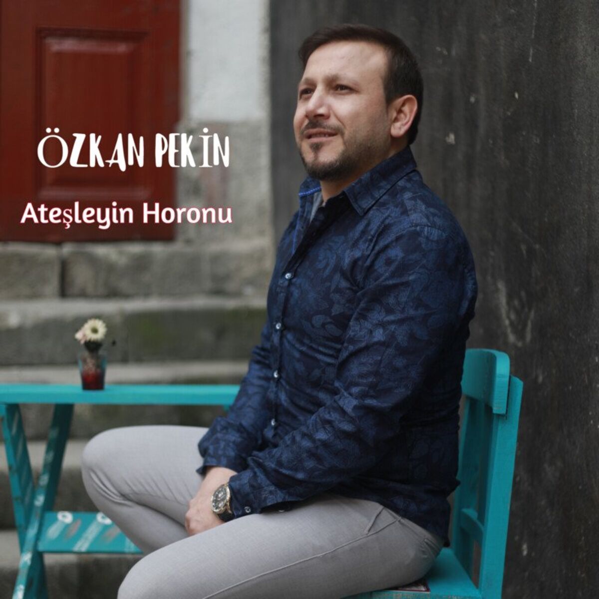 Album cover of Ateşleyin Horonu