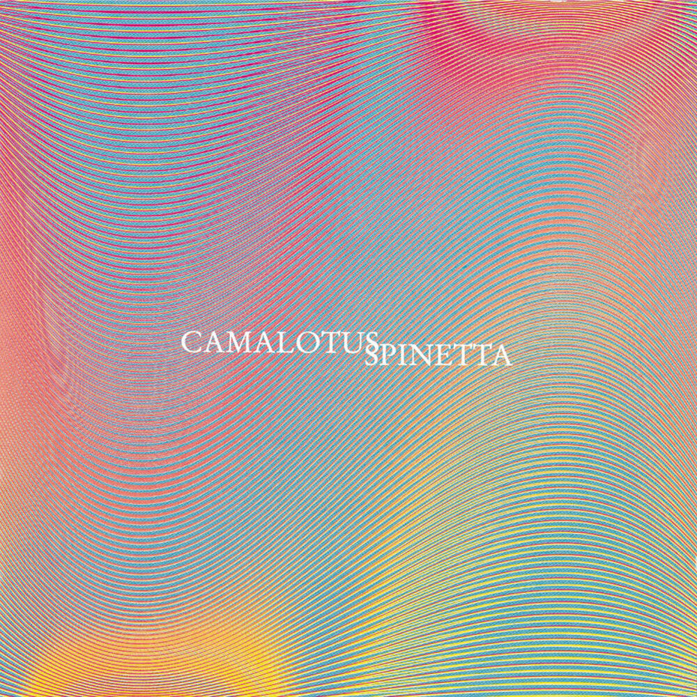 Picture of Camalotus