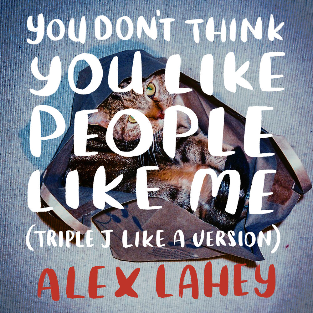 Picture of You Don't Think You Like People Like Me (triple j Like A Version)