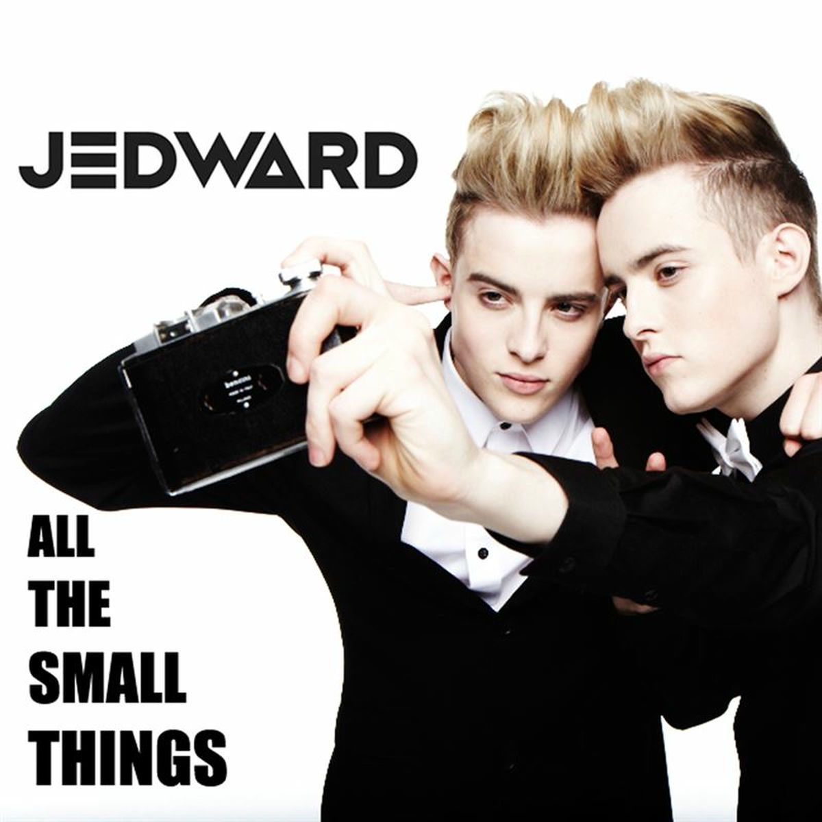 Album cover of All the Small Things