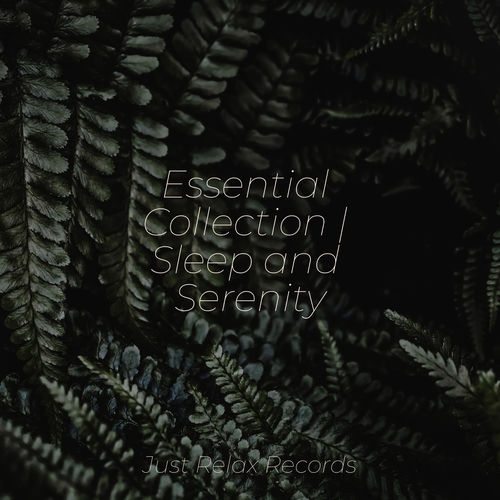 Essential Collection | Sleep and Serenity