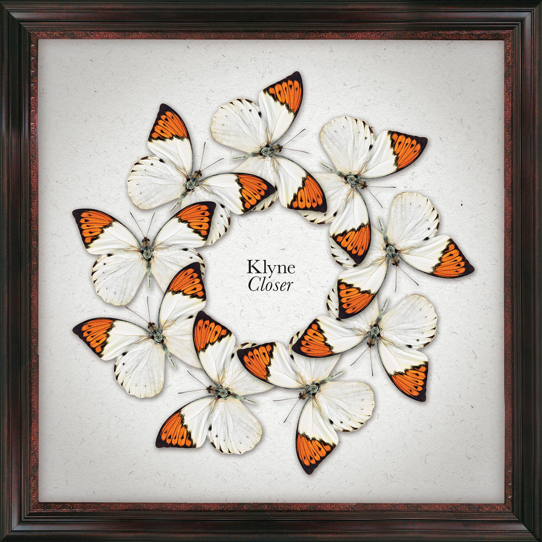 Album cover of Closer