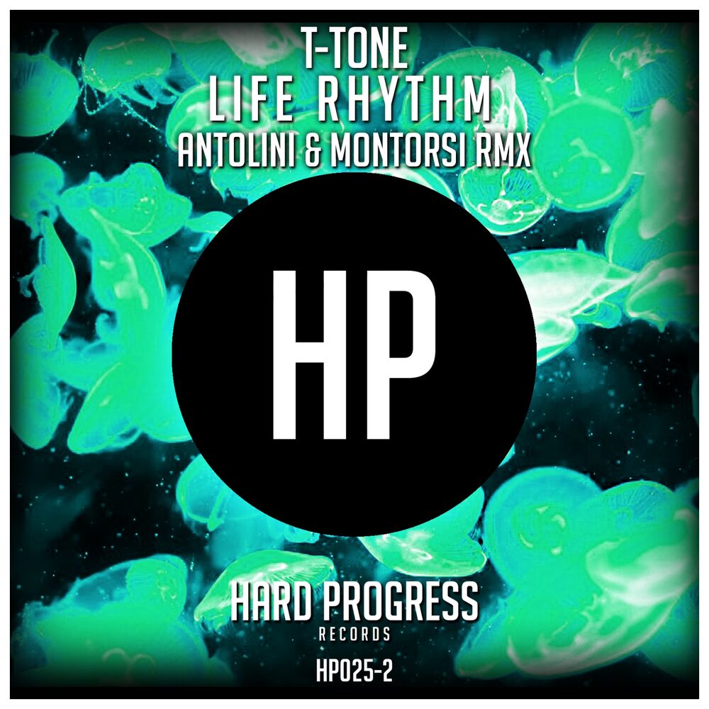 Picture of Life Rhythm (Antolini & Montorsi Remix)