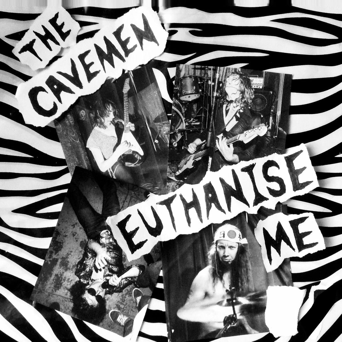 Album cover of Euthanise Me