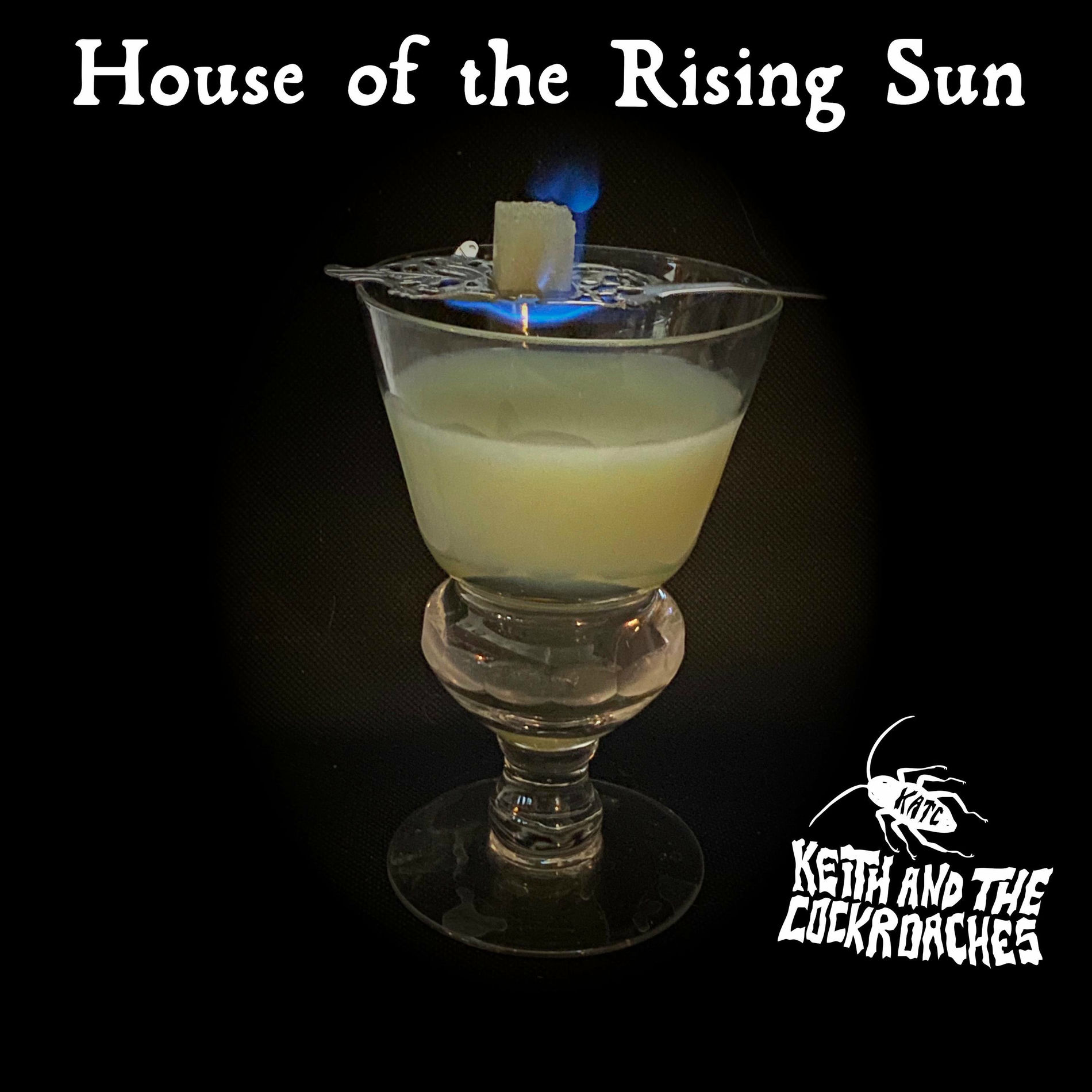 Album cover of House of the Rising Sun