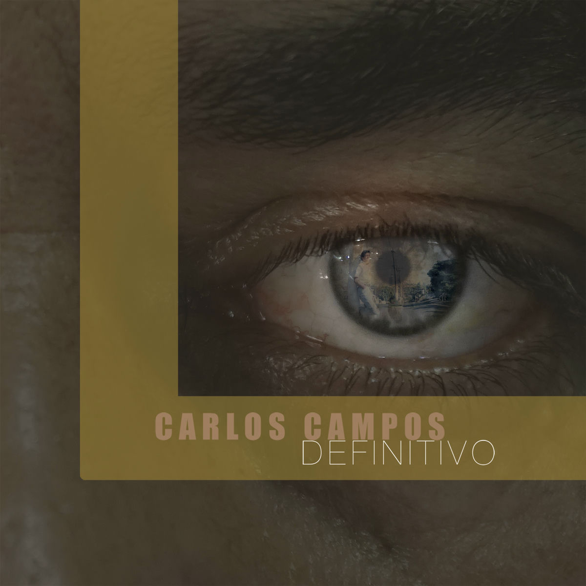 Album cover of Definitivo
