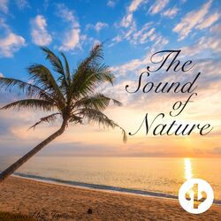 Cover of The Sound of Nature