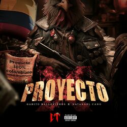 Cover of Proyecto X