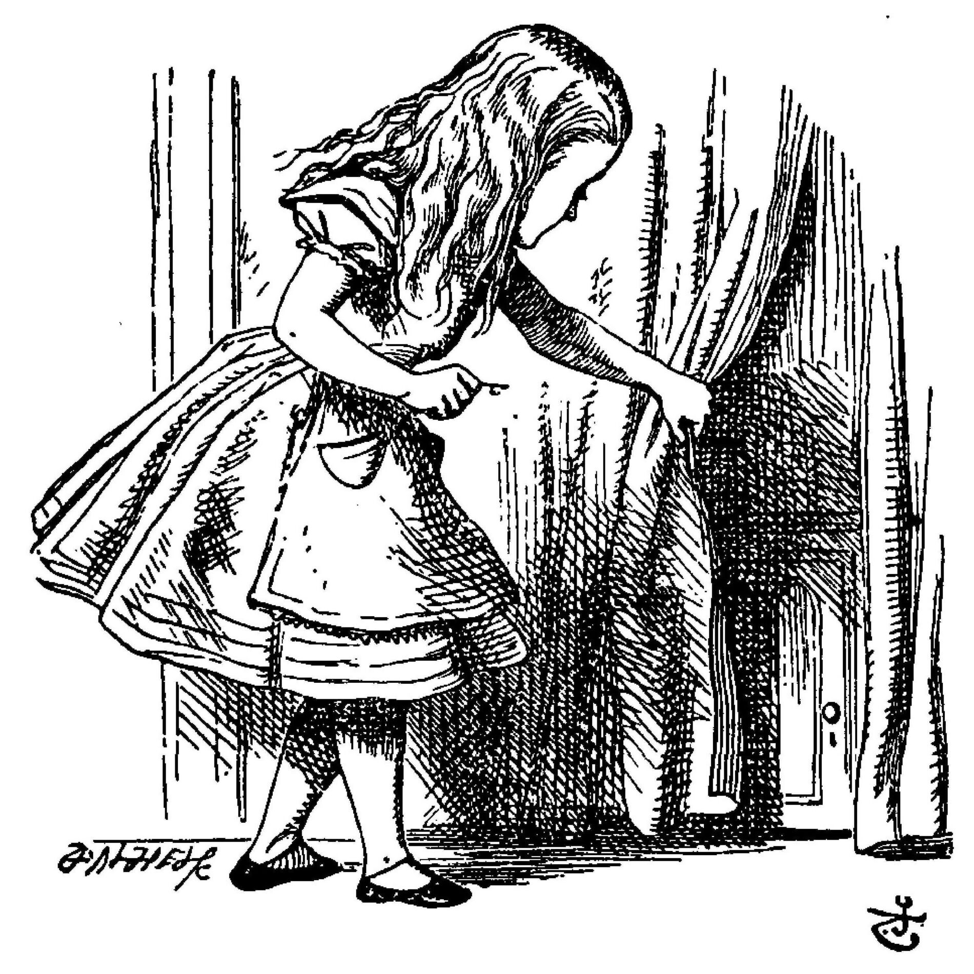 Album cover of Curtain Twitcher