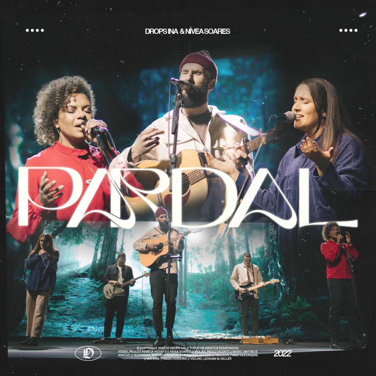 Album cover of Pardal