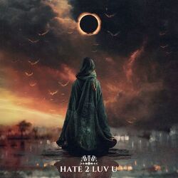 Cover of HATE 2 LUV U