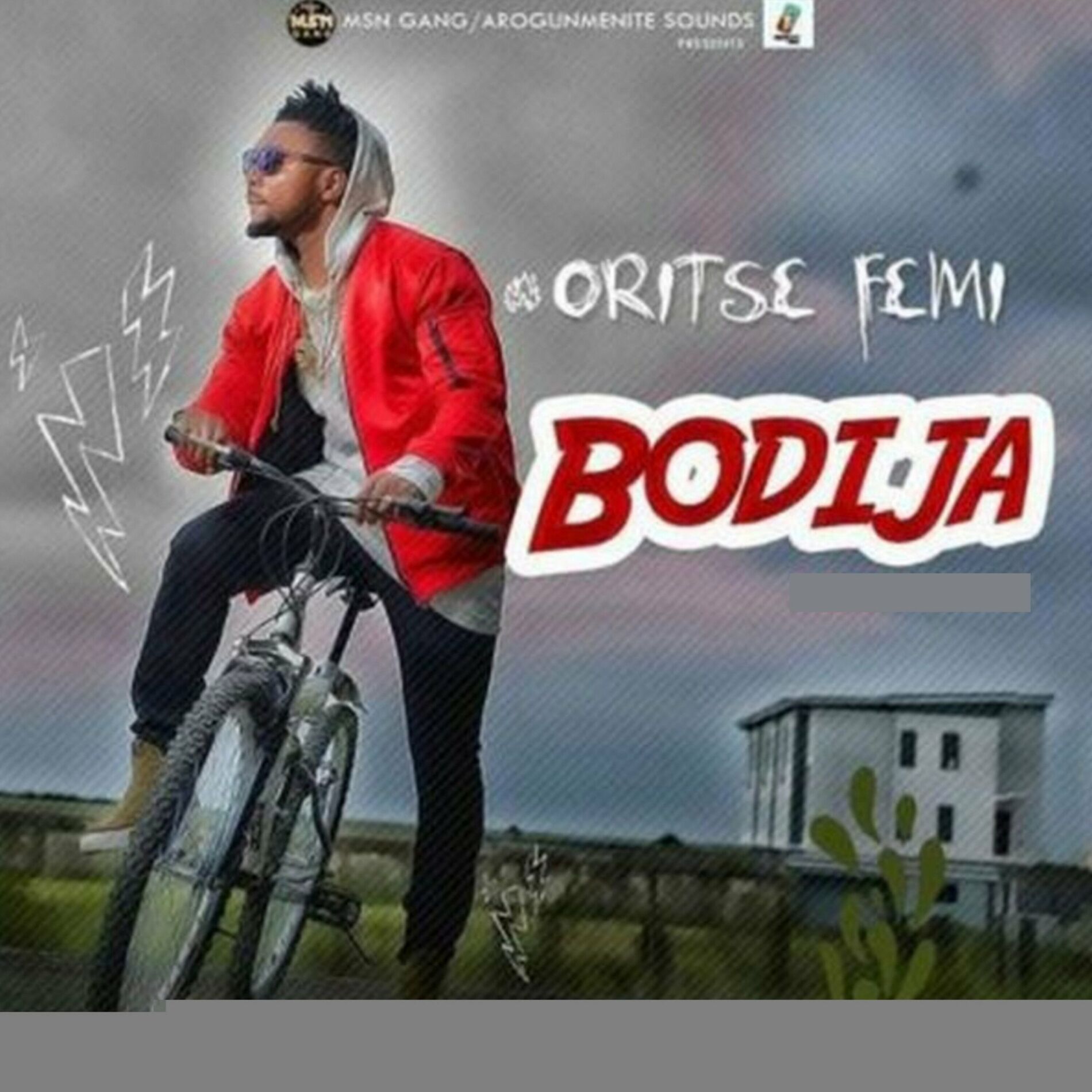 Album cover of Bodija