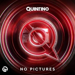 Cover of No Pictures