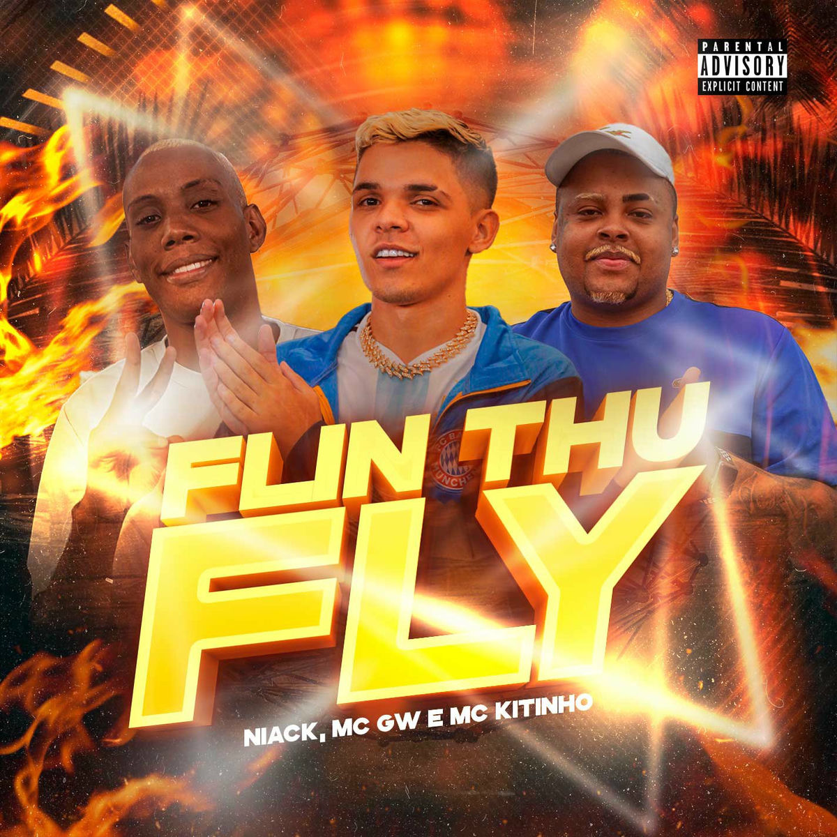 Album cover of Flin Thu Fly
