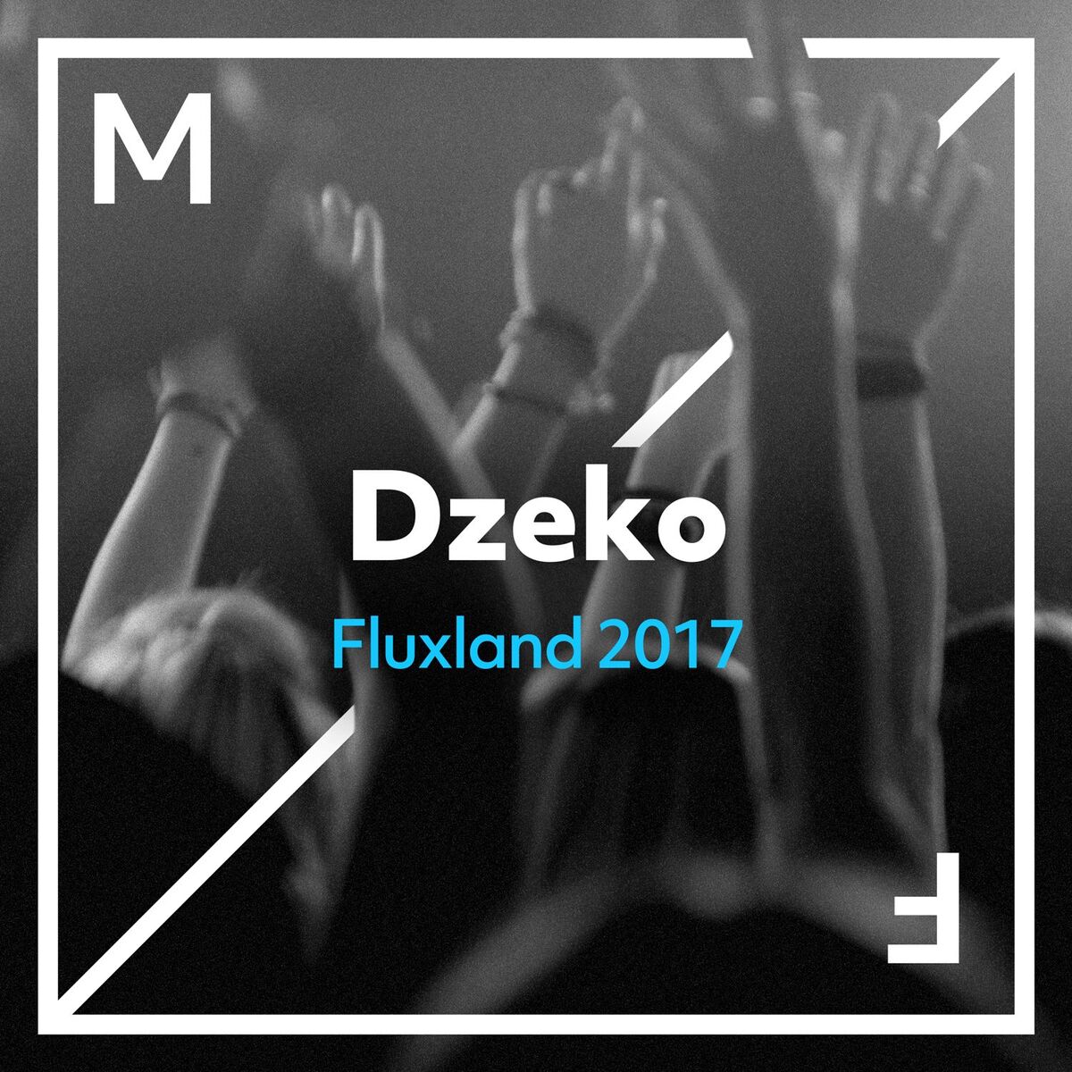 Album cover of Fluxland 2017
