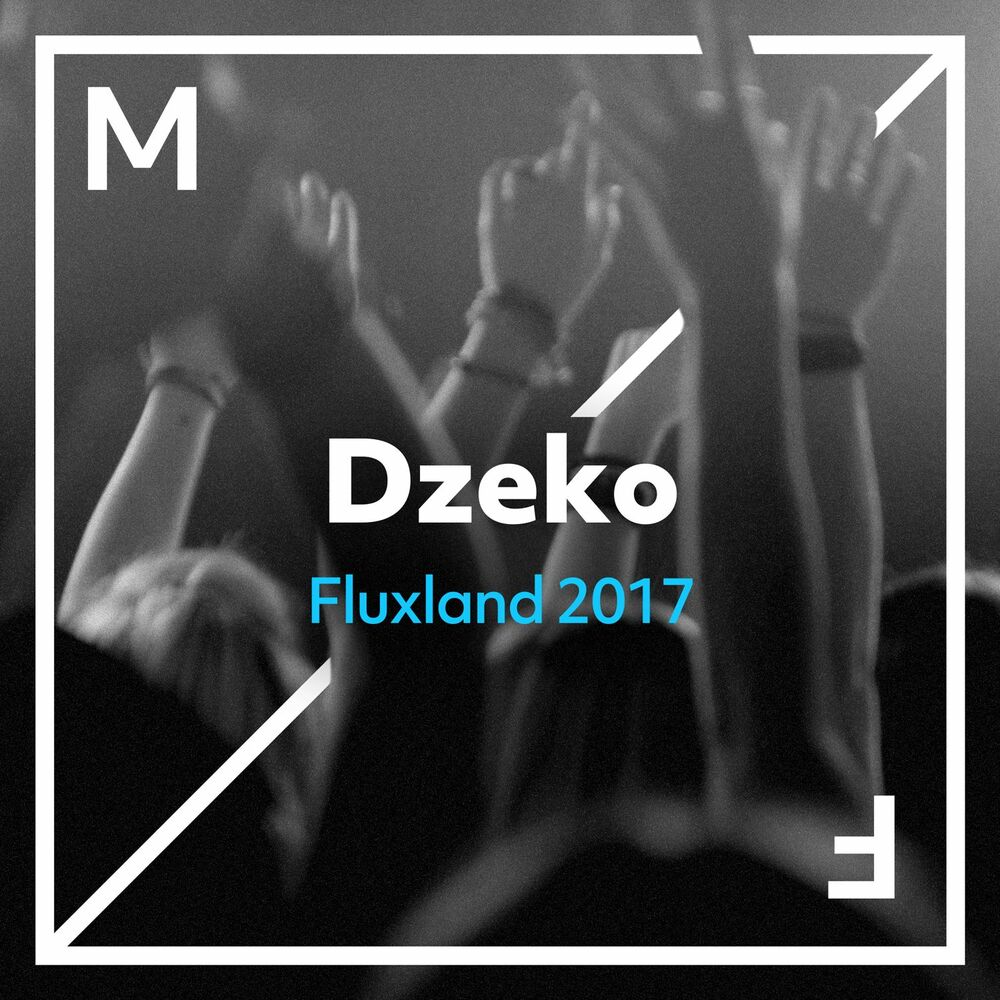 Picture of Fluxland 2017