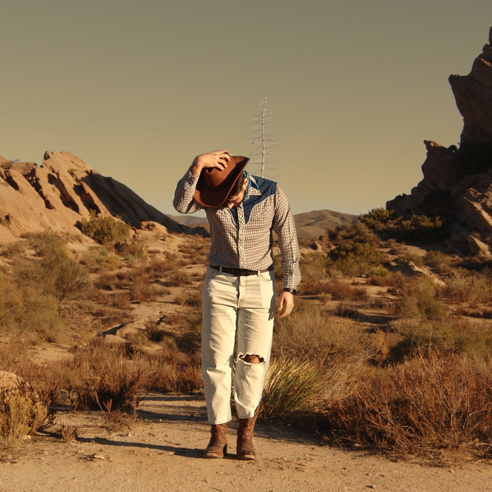Album cover of Desert Cowboy