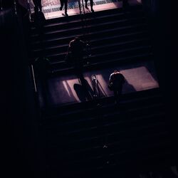 Cover of Real People