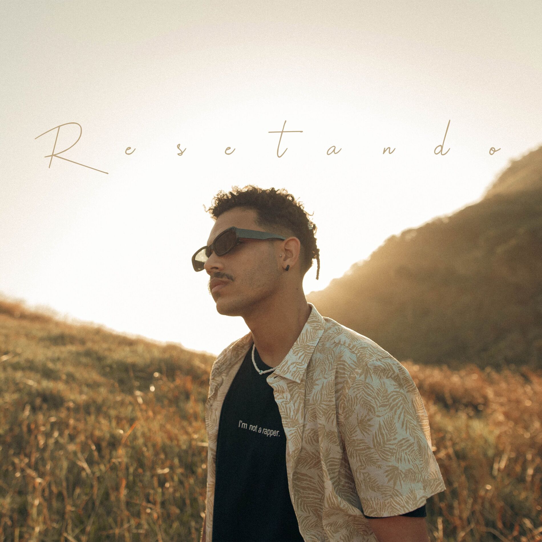 Album cover of Resetando