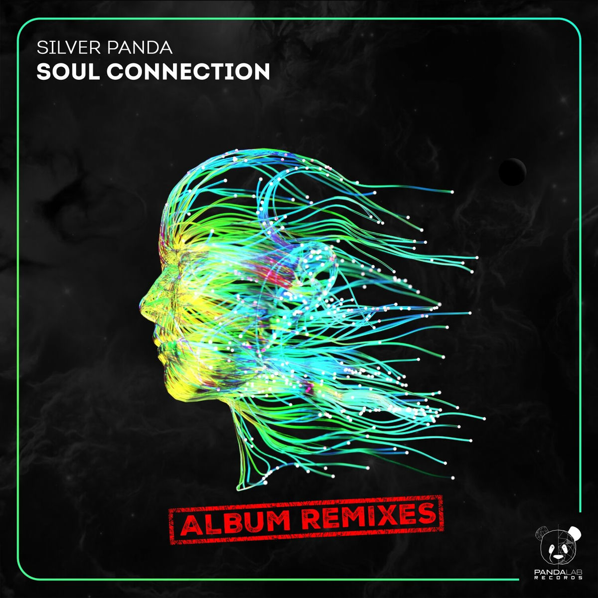 Album cover of Soul Connection