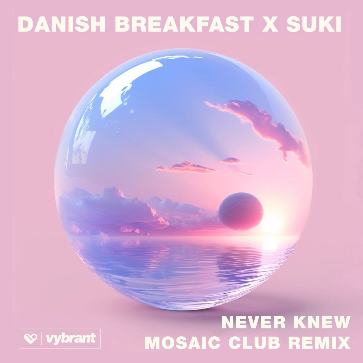 Album cover of Never Knew (Mosaic Club Remix)