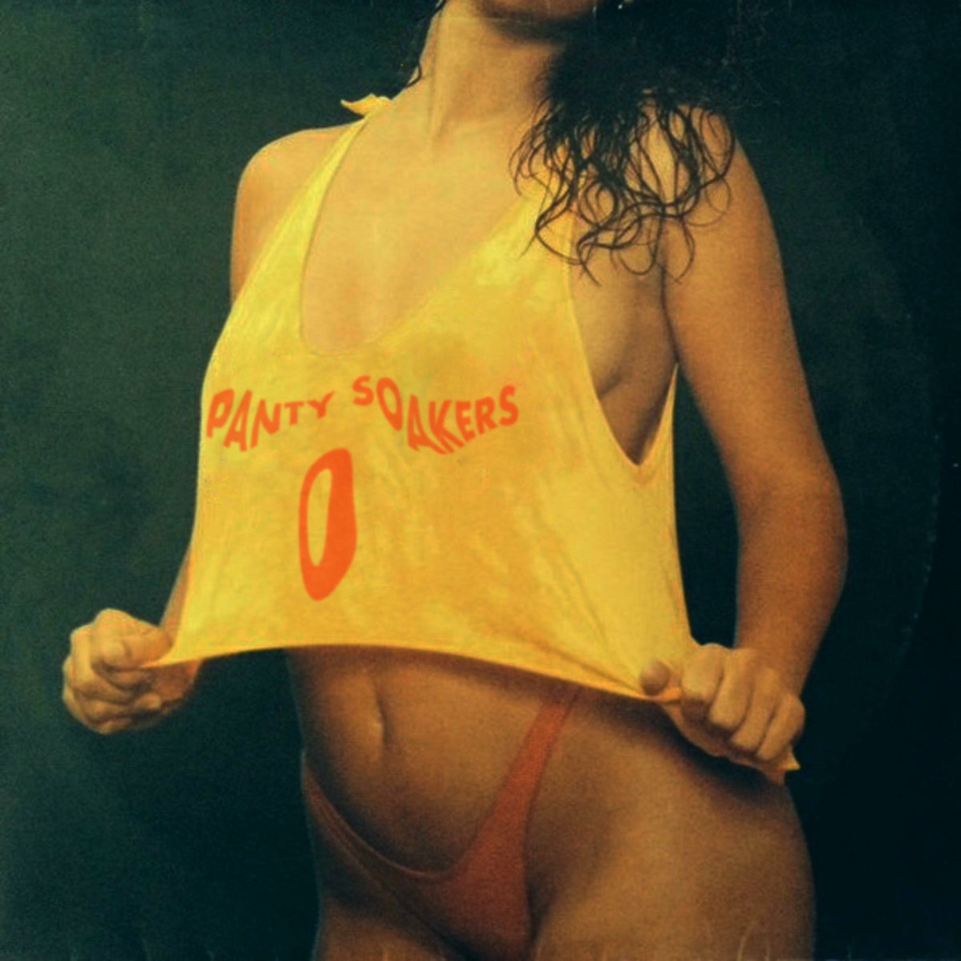 Album cover of Panty Soakers 0