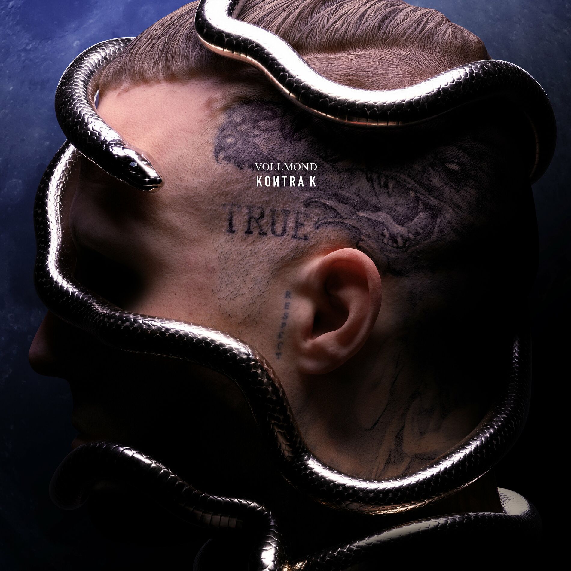 Album cover of Du willst es