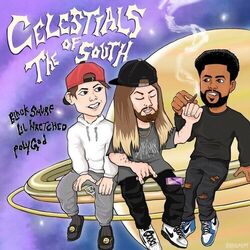 Cover of Celestials of the South