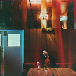 Cover of Velvet