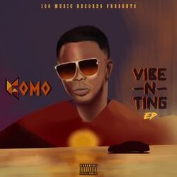 Cover of Vibe N Ting