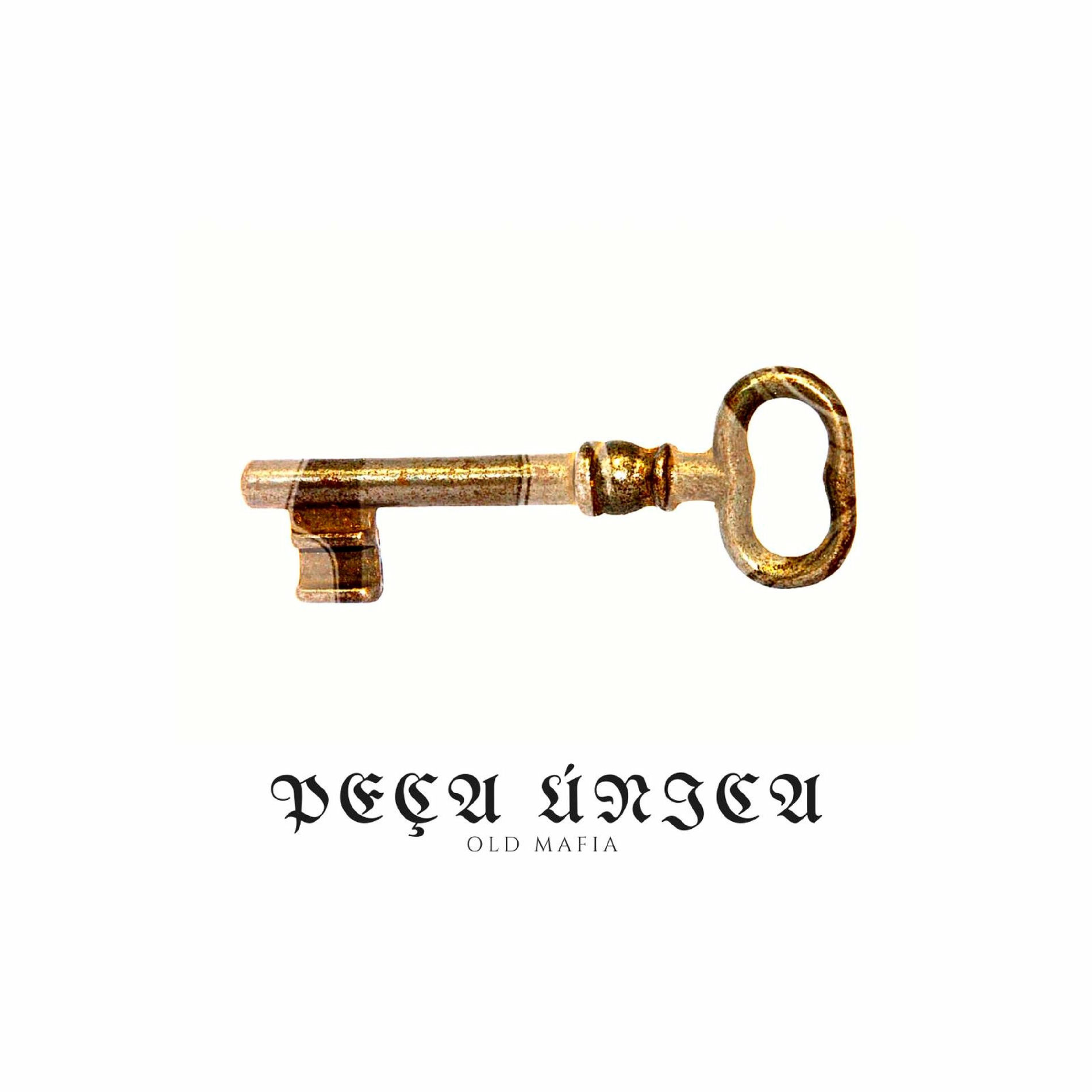 Album cover of Peça Única
