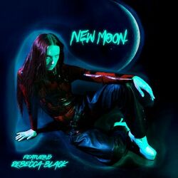 Cover of New Moon