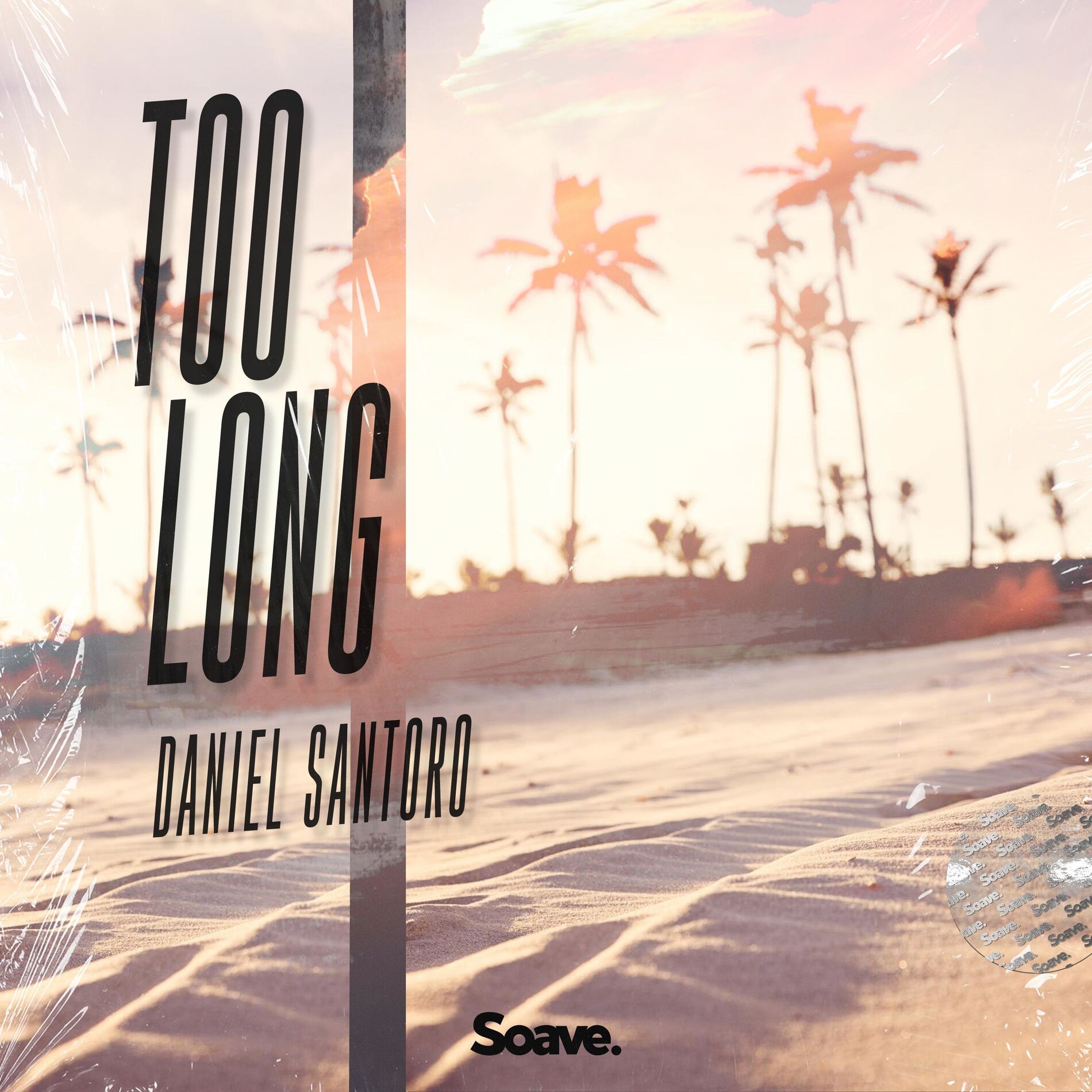 Album cover of Too Long
