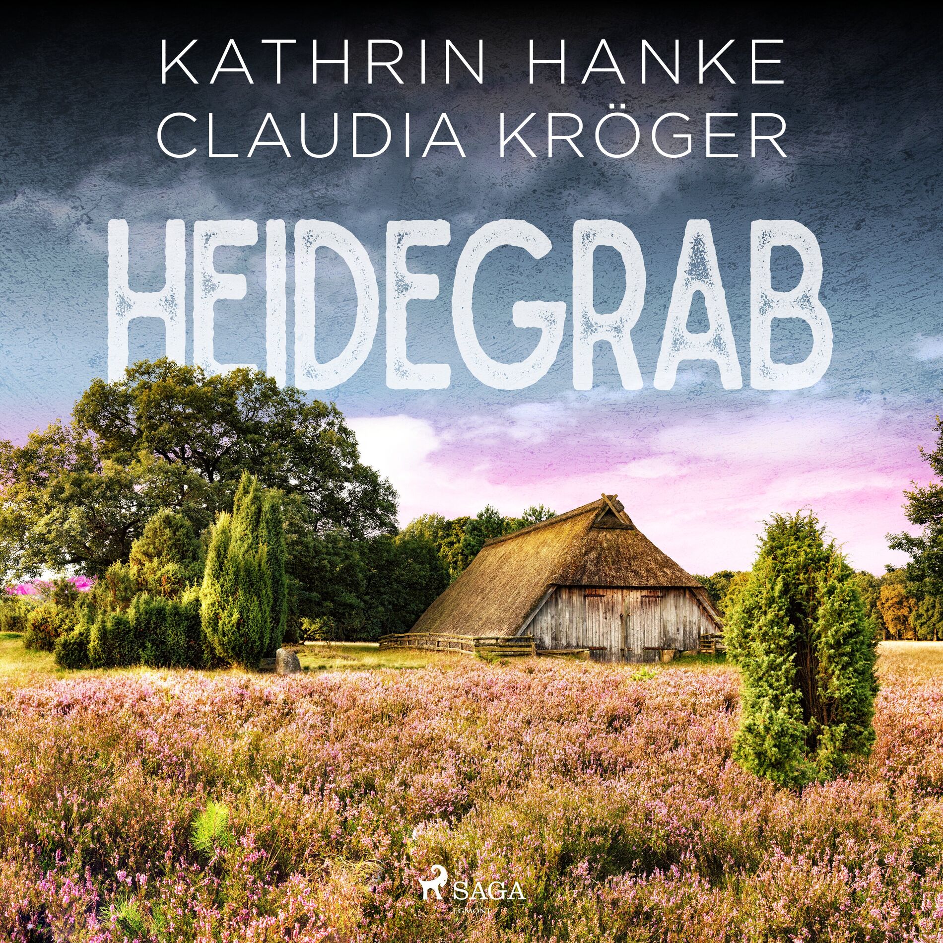 Album cover of Heidegrab - Ein Lüneburg-Krimi