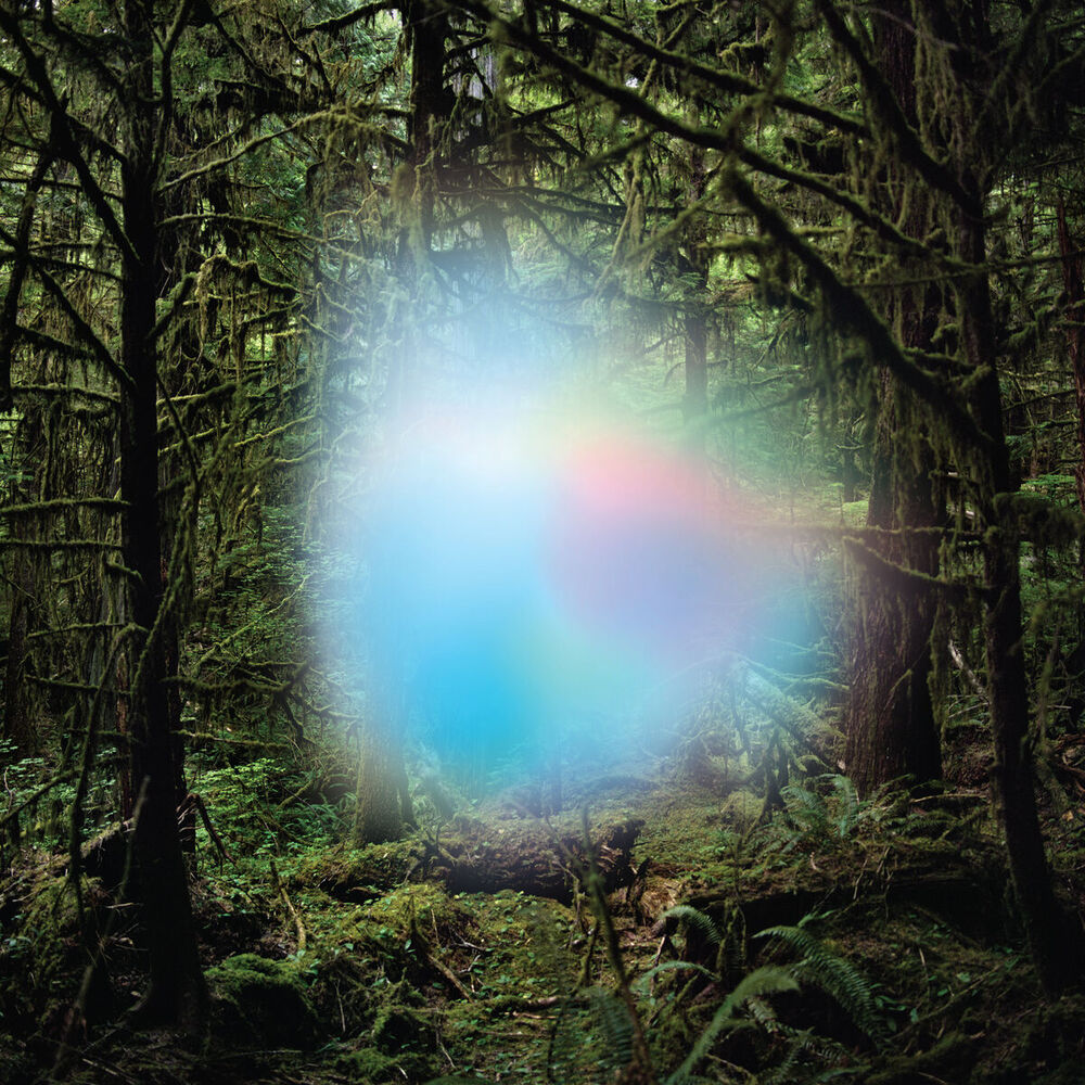 Picture of Ghosts of the Forest